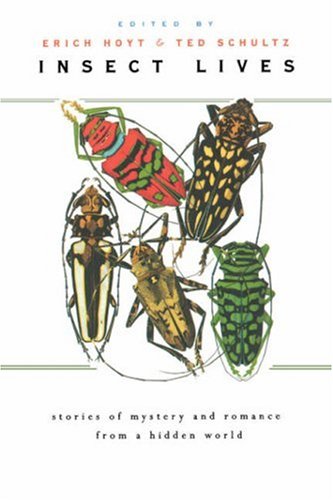 Stock image for Insect Lives: Stories of Mystery and Romance from a Hidden World for sale by SecondSale