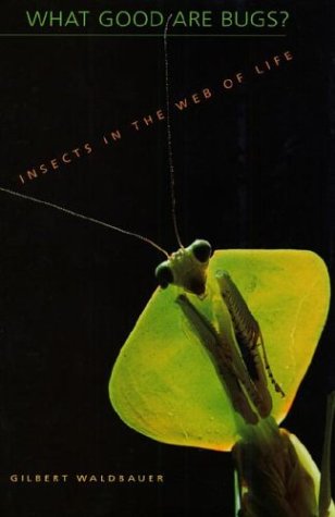 9780674010277: What Good Are Bugs?: Insects in the Web of Life
