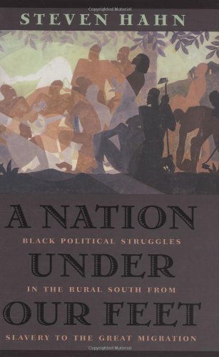 9780674011694: A Nation under Our Feet: Black Political Struggles in the Rural South from Slavery to the Great Migration