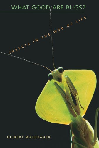 Stock image for What Good Are Bugs? : Insects in the Web of Life for sale by Better World Books