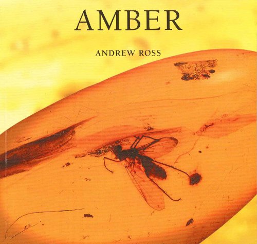 Stock image for Amber for sale by Wonder Book