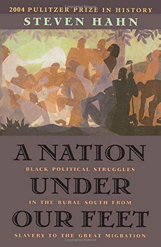 Stock image for A Nation Under Our Feet: Black Political Struggles in the Rural South from Slavery to the Great Migration for sale by HPB-Red
