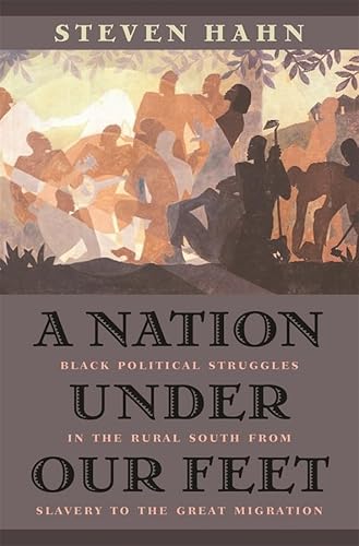 9780674017658: A Nation Under Our Feet: Black Political Struggles in the Rural South from Slavery to the Great Migration