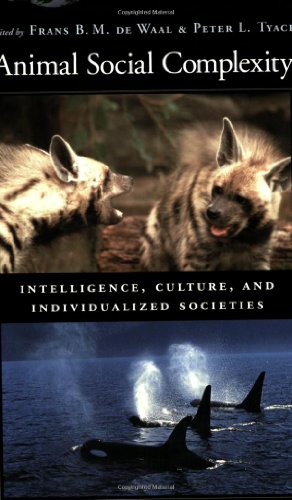 9780674018235: Animal Social Complexity: Intelligence, Culture and Individualized Societies