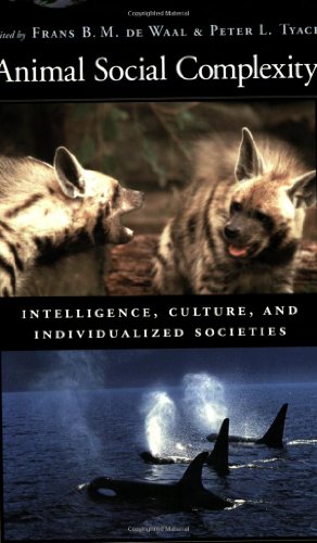 Immagine dell'editore per Animal Social Complexity: Intelligence, Culture, and Individualized Societies venduto da ThriftBooks-Dallas