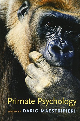 Stock image for Primate Psychology for sale by Front Cover Books