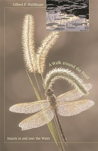 9780674022119: A Walk Around the Pond: Insects in and Over the Water