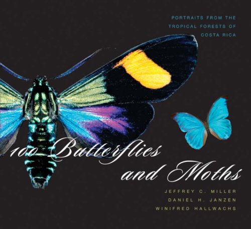 Beispielbild fr 100 Butterflies and Moths: Portraits from the Tropical Forests of Costa Rica zum Verkauf von ZBK Books