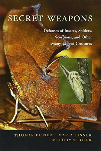 Stock image for Secret Weapons: Defenses of Insects, Spiders, Scorpions, and Other Many-Legged Creatures for sale by HPB-Red