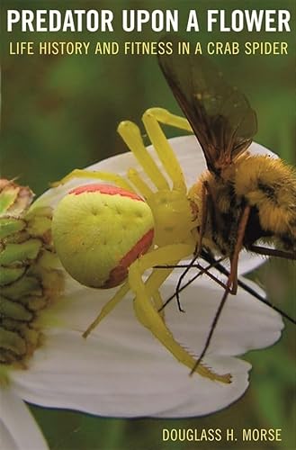 Immagine stock per Predator upon a Flower: Life History and Fitness in a Crab Spider