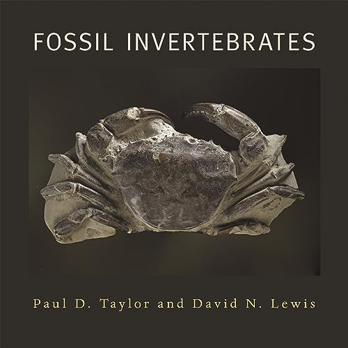 Stock image for FOSSIL INVERTEBRATES for sale by BennettBooksLtd