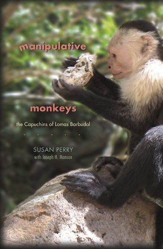 Beispielbild fr Manipulative Monkeys. The Capuchins of Lomas Barbudal zum Verkauf von C.P. Collins Booksellers
