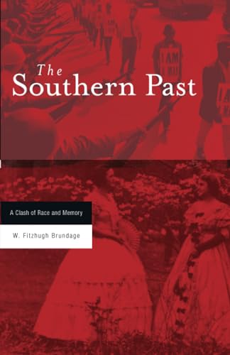 Stock image for The Southern Past for sale by Blackwell's