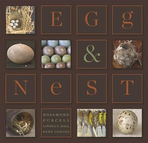 Stock image for Egg & Nest for sale by ZBK Books