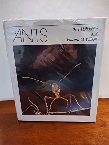 Beispielbild fr The Ants [First printing] zum Verkauf von Ron Griswold Books North