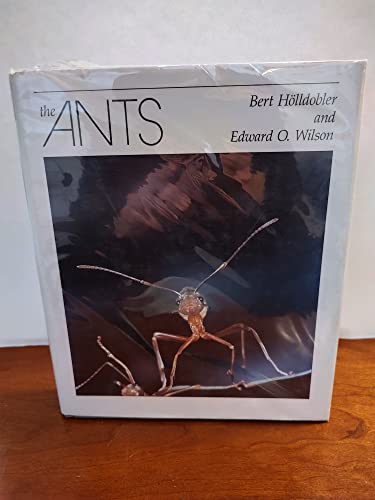 The Ants - Holldobler, Bert and Wilson, Edward O., Illustrated by