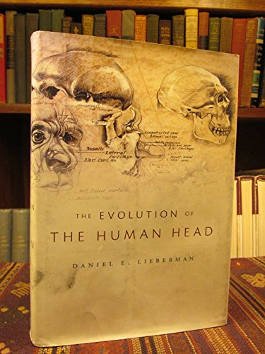 Beispielbild fr The Evolution of the Human Head zum Verkauf von Blackwell's