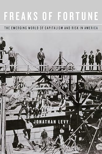 Freaks of Fortune: The Emerging World of Capitalism and Risk in America