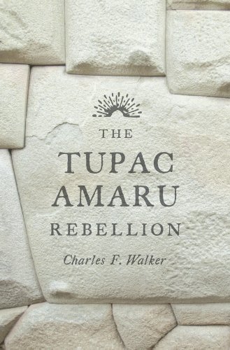 Stock image for The Tupac Amaru Rebellion for sale by Books Unplugged