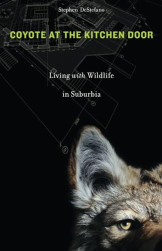 Coyote at the Kitchen Door: Living with Wildlife in Suburbia (9780674060180) by DeStefano, Stephen