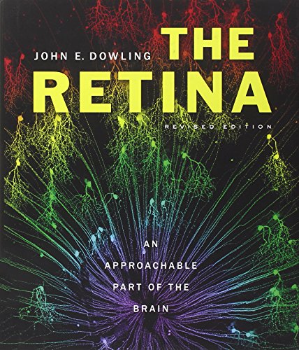 9780674061545: The Retina: An Approachable Part of the Brain, Revised Edition