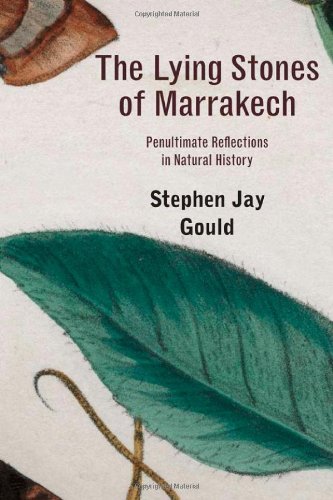 Beispielbild fr The Lying Stones of Marrakech: Penultimate Reflections in Natural History zum Verkauf von Anybook.com