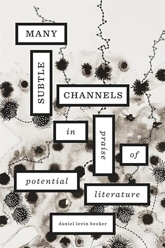 Beispielbild fr Many Subtle Channels: In Praise of Potential Literature zum Verkauf von BooksRun