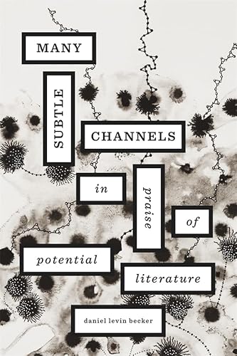 Stock image for Many Subtle Channels: In Praise of Potential Literature for sale by BooksRun