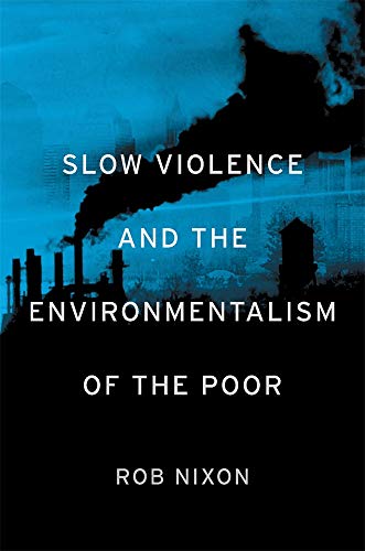 9780674072343: Slow Violence and the Environmentalism of the Poor