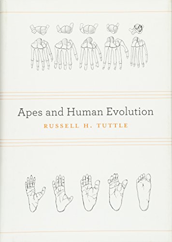 Stock image for Apes and Human Evolution for sale by Front Cover Books