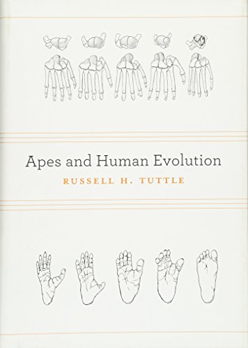 9780674073166: Apes and Human Evolution