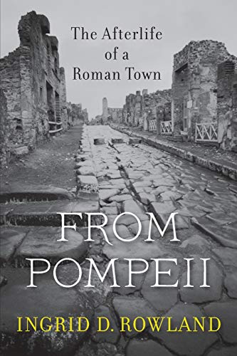 Beispielbild fr From Pompeii: The Afterlife of a Roman Town zum Verkauf von HPB-Diamond