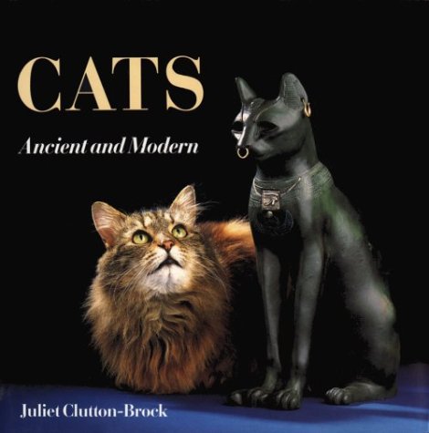 Imagen de archivo de Cats : Ancient and Modern a la venta por Better World Books