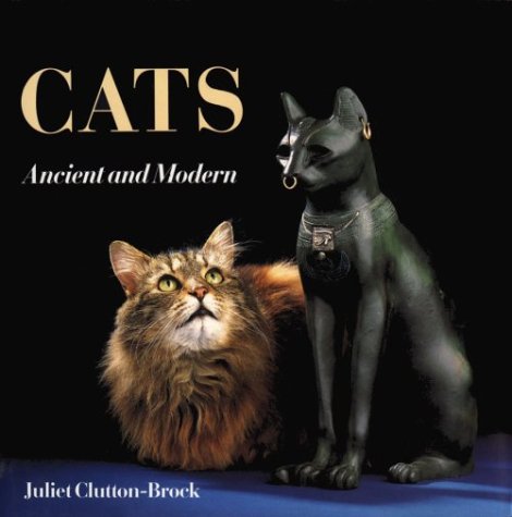 Stock image for Cats: Ancient and Modern for sale by SecondSale