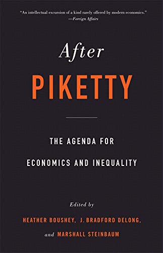 Stock image for After Piketty : The Agenda for Economics and Inequality for sale by Better World Books