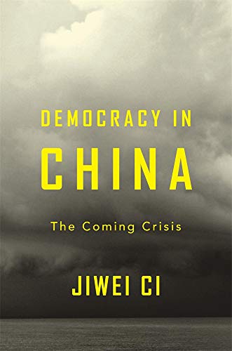 Beispielbild fr Democracy in China: The Coming Crisis zum Verkauf von WorldofBooks