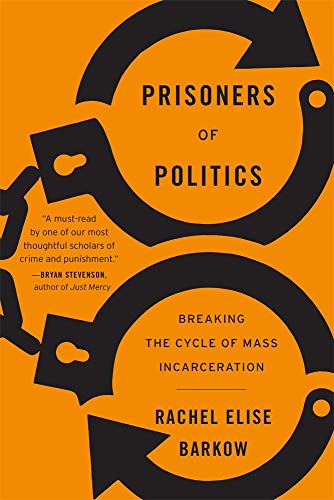 9780674248328: Prisoners of Politics: Breaking the Cycle of Mass Incarceration