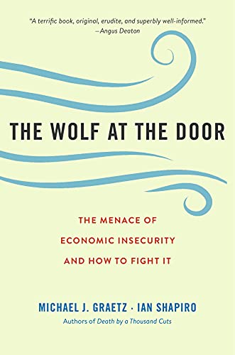 9780674260429: The Wolf at the Door: The Menace of Economic Insecurity and How to Fight It