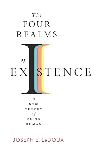 Imagen de archivo de The Four Realms of Existence: A New Theory of Being Human a la venta por WorldofBooks