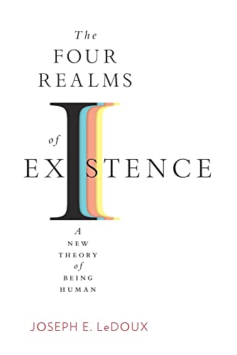 Stock image for Four Realms of Existence : A New Theory of Being Human for sale by GreatBookPrices