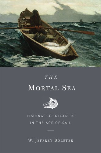 Stock image for The Mortal Sea for sale by Blackwell's