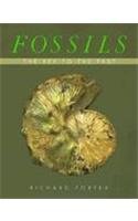 Beispielbild fr Fossils : The Key to the Past zum Verkauf von Better World Books: West