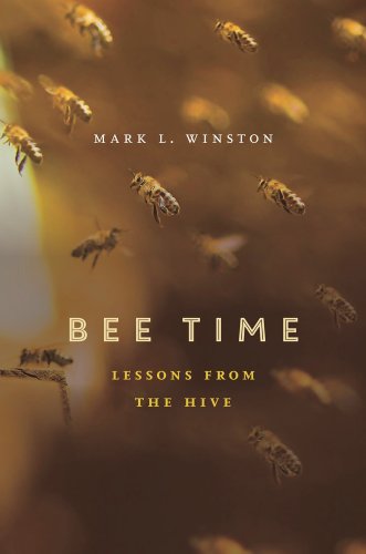 Beispielbild fr Bee Time : Lessons from the Hive zum Verkauf von Better World Books: West