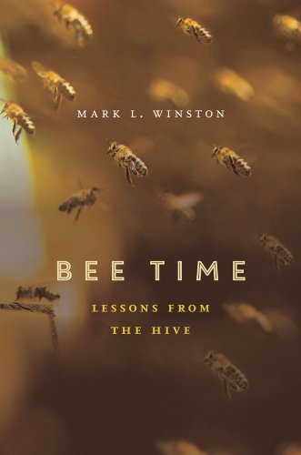 9780674368392: Bee Time: Lessons from the Hive