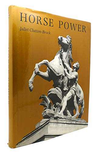 Beispielbild fr Horse Power : A History of the Horse and Donkey in Human Societies zum Verkauf von Better World Books: West