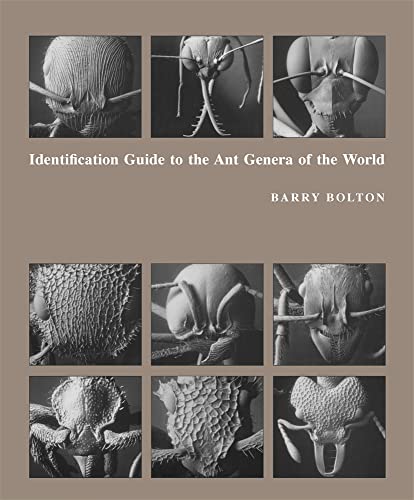 Imagen de archivo de Identification Guide to the Ant Genera of the World a la venta por Valley Books