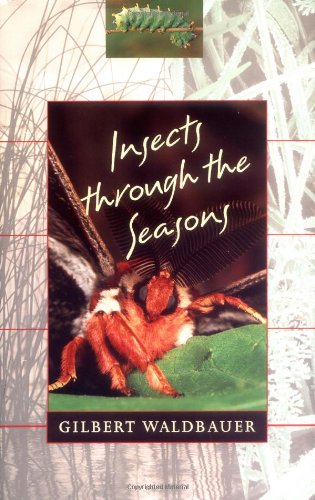 Beispielbild fr Insects Through the Seasons zum Verkauf von Abacus Bookshop