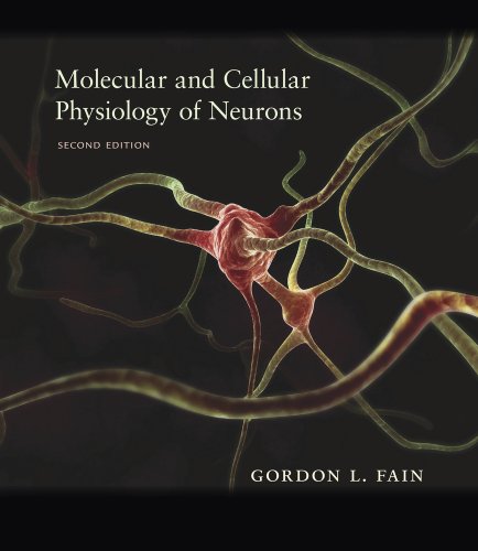 Beispielbild fr Molecular and Cellular Physiology of Neurons zum Verkauf von Chiron Media