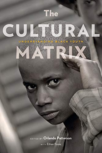 Imagen de archivo de The Cultural Matrix: Understanding Black Youth a la venta por Goodwill of Colorado