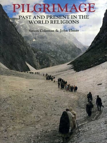 Stock image for Pilgrimage: Past and Present in the World Religions for sale by More Than Words